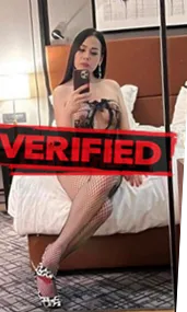 Amy tits Prostitute Serzedo